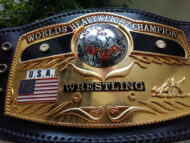 NWA Domed Globe Heavyweight 3D CNC Made Championship Belt