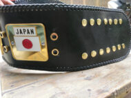 NWA Domed Globe Heavyweight 3D CNC Made Championship Belt