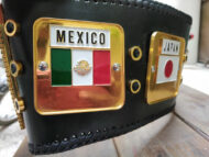 NWA Domed Globe Heavyweight 3D CNC Made Championship Belt