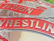 NWA Television Heavyweight CNC Made Championship Belt