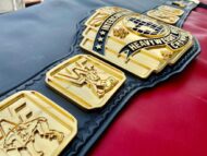WWF Intercontinental CNC HD Championship Belt